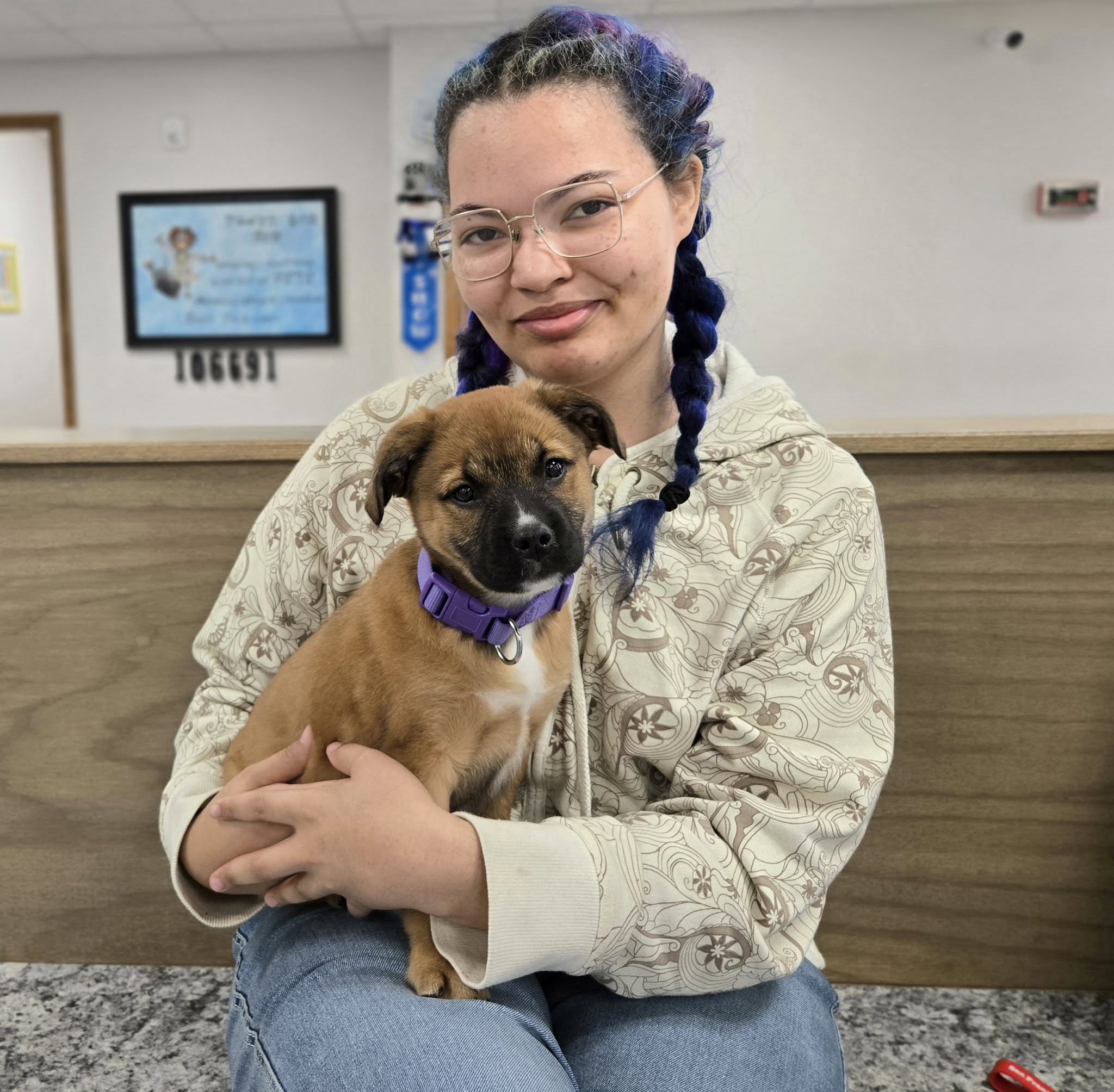 Woman holding a brown puppy