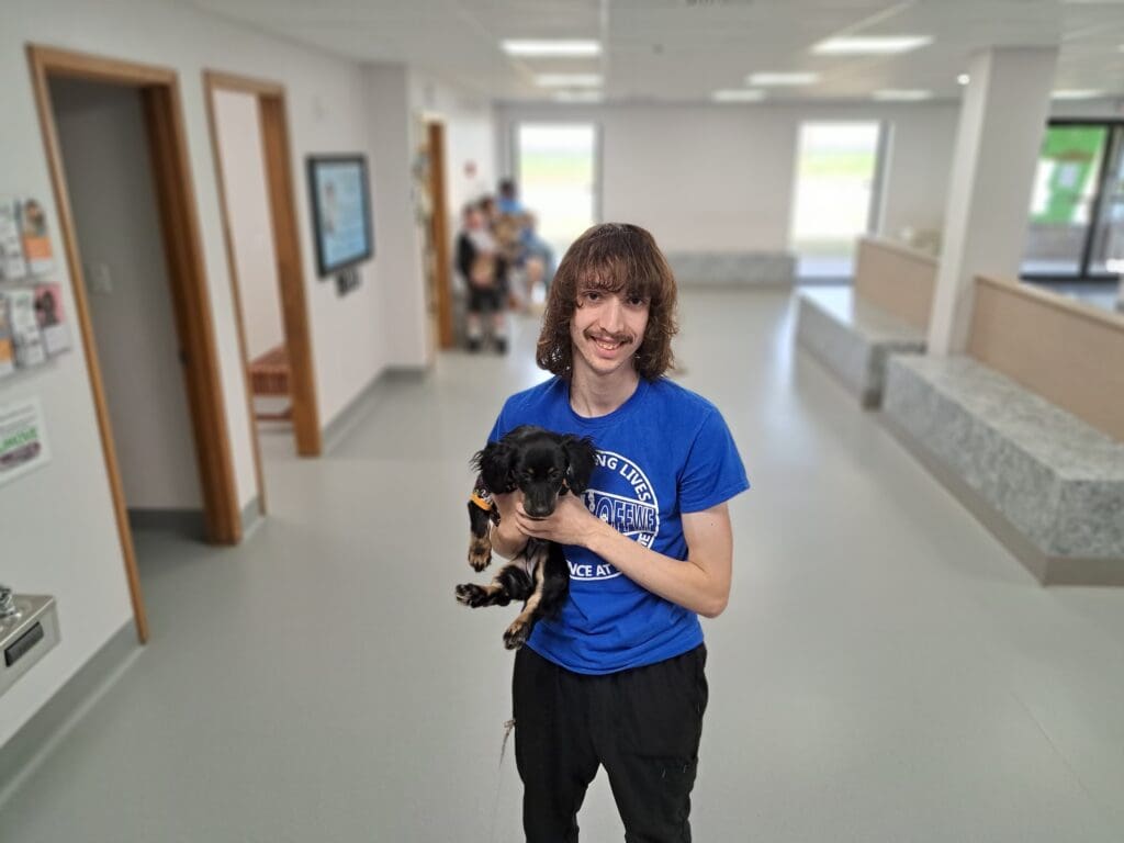 low prices on flea and tick medication and preventative available at pets clinic a nonprofit veterinary clinic